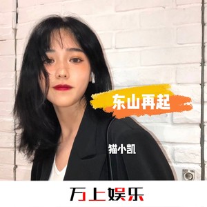 东山再起 (DJ版)