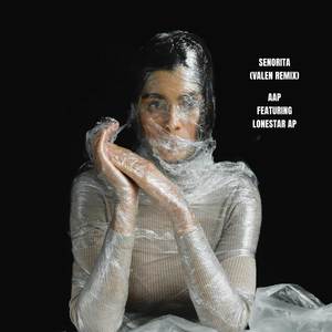 Senorita (VALEN Remix|Explicit)