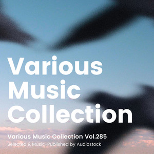 Various Music Collection Vol.285 -Selected & Music-Published by Audiostock-