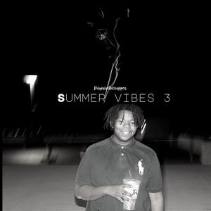 Summer Vibes 3 (Explicit)