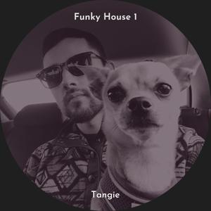 Funky House 1