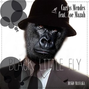 Black Little Fly