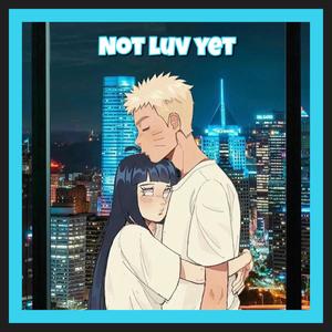 Not Luv Yet (feat. SAUNA) [Explicit]