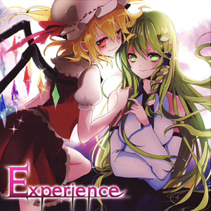 Experience