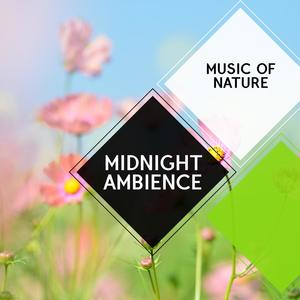 Midnight Ambience - Music of Nature