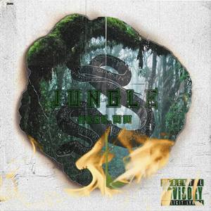 Jungle(with Shoddywinner6, King Steez tha Savior, Lwazi, Cocaine.exe) (Explicit)