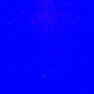 WWF(Whole World Flow) (Explicit)