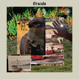 Oraculu