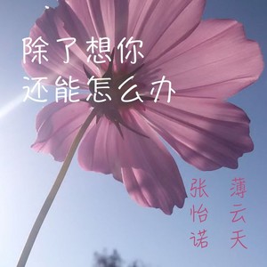 除了想你还能怎么办 (DJ版)