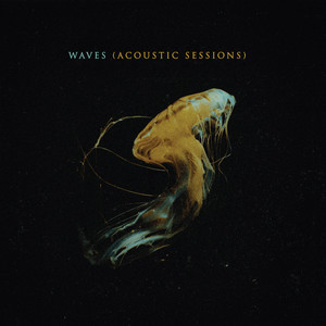 Waves (Acoustic Sessions)