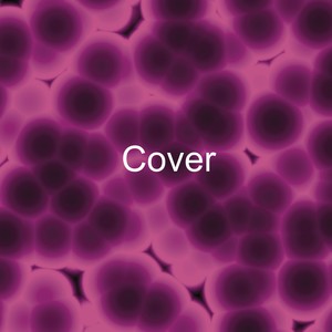 Four(Official Trailer)