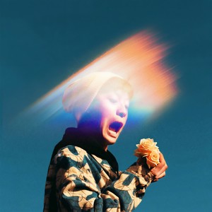 爱像一朵白玫瑰