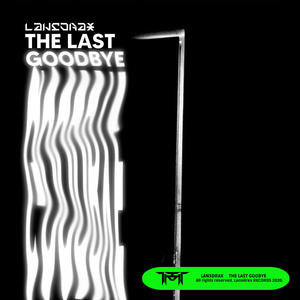 The Last Goodbye