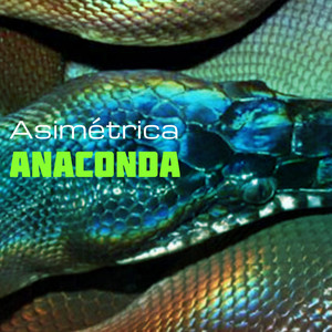 Anaconda