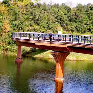 奶奶的丁香花 (Live)