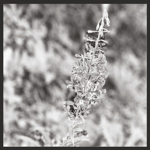 snow (feat. Eva-Maria Houben)