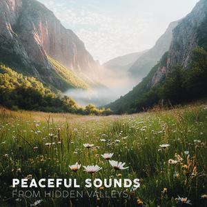 Peaceful Sounds from Hidden Valleys