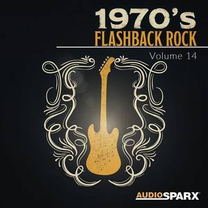 1970's Flashback Rock Volume 14