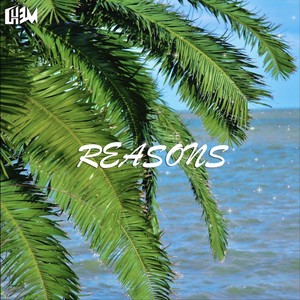 Reasons