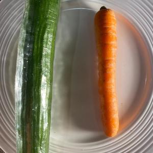 Vegetable Song, Pt. 2