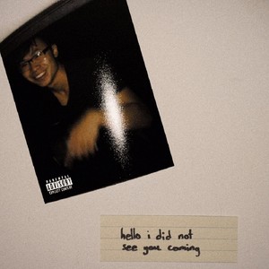 Hello I Did Not See You Coming (Explicit)