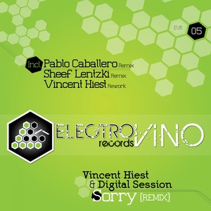 Sorry (Vincent Hiest Rework)