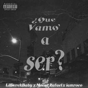 ¿Que Vamo' a Ser? (Explicit)
