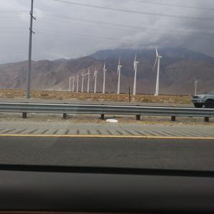 Desert Cities (Explicit)