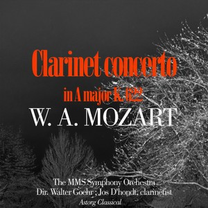 Clarinet concerto in A major K. 622 - I. allegro