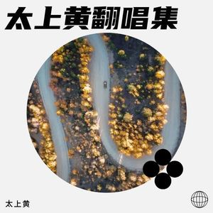 四十岁的男人 (DJ版)