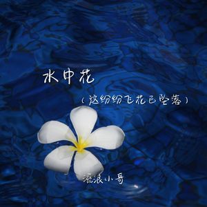 水中花(这纷纷飞花已坠落)