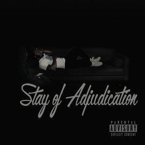 Stay of Adjudication (Explicit)