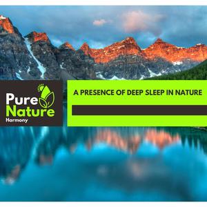 A Presence of Deep Sleep in Nature