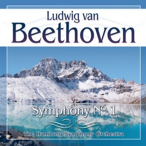 Symphony No. 1 in C Major, Op. 21 - III. Menuetto - Allegro molto e vivace (C大调第1号交响曲，作品21 - 第三乐章 小步舞曲 - 很快的活泼的快板)