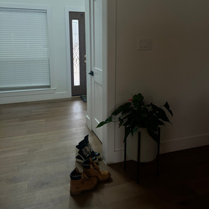 SW4G MUSIK (Explicit)