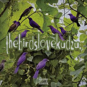 The Birds Love Kudzu (Explicit)