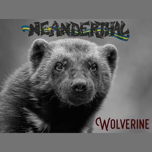 Wolverine (Explicit)