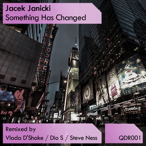 Something Has Changed (Steve Ness Remix)