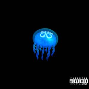 jellyfish (Explicit)