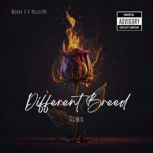 Different Breed (feat. NieceyNi) [REMIX] [Explicit]