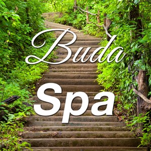 Buda Spa: Música Relajante Tranquila diseñada para Calmar las Emociones en un Centro de Salud o en el Spa con Música Instrumental y Ambiental para Pacificar sus Vida con Sonidos de la Naturaleza como la Lluvia, el Viento y las Olas del Océano