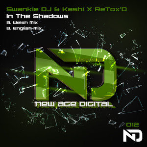In The Shadows (English Mix)