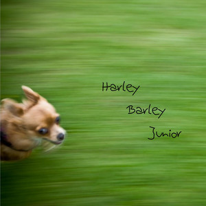 Harley Barley Junior (Explicit)