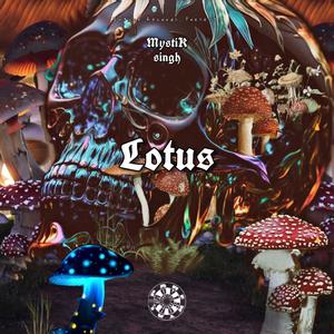 Lotus (Explicit)