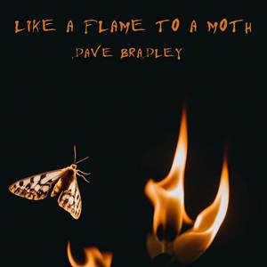 Like a Flame to a Moth