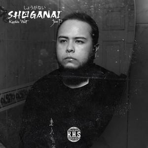 SHOGANAI (feat. Joss P)