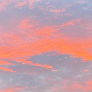 Heaven Knows