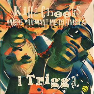 Where You Want Me To Finish At ? (feat. Killa Cheeks & 1 Trigga) [Explicit]