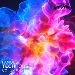 Famous Techhouse, Vol. 1