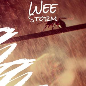 Wee Storm